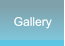 Gallery Gallery